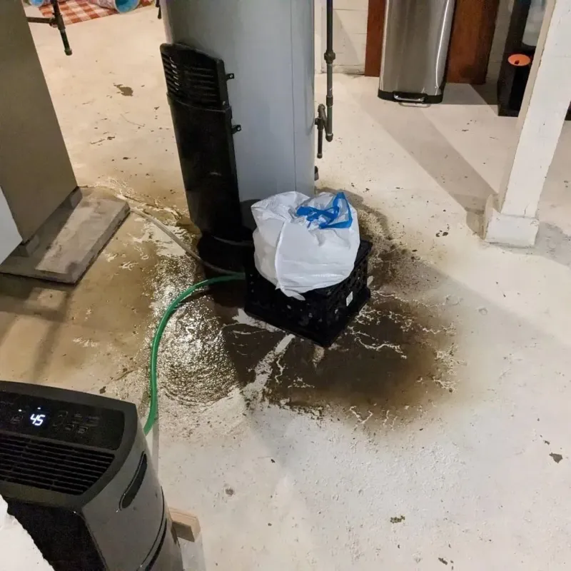 Sewage Backup Cleanup Service in Darlington County, SC